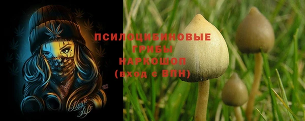 2c-b Балахна